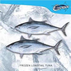 טונה ארוכת זנב קפואה