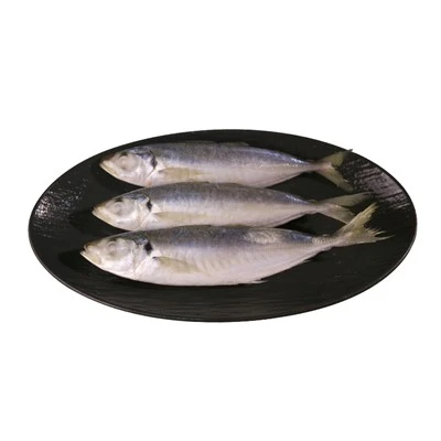 China Canning Scad