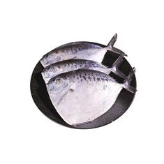 דג שמש קפוא מותאם אישית