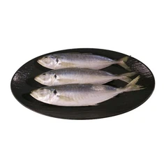 קפוא עגול קפוא