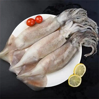 פרו מציגה תקנות דיג דיונון חדשות