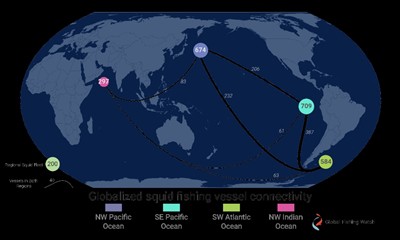 ניתוח מדד מחירי הדיונון האוקיאנוס של סין