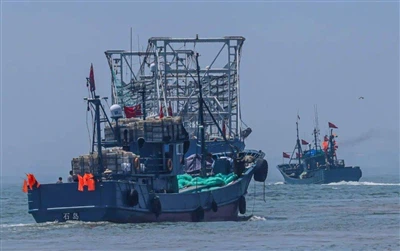 Peru's Squid Season Concludes