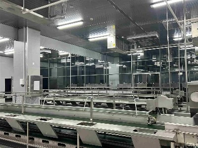 Squid raw material primary processing area Squid raw material primary processing area