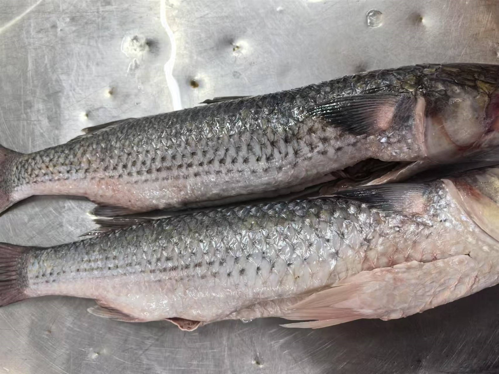 5f55c26075b0a54274313c1ac8ec8e2 5f55c26075b0a54274313c1ac8ec8e2