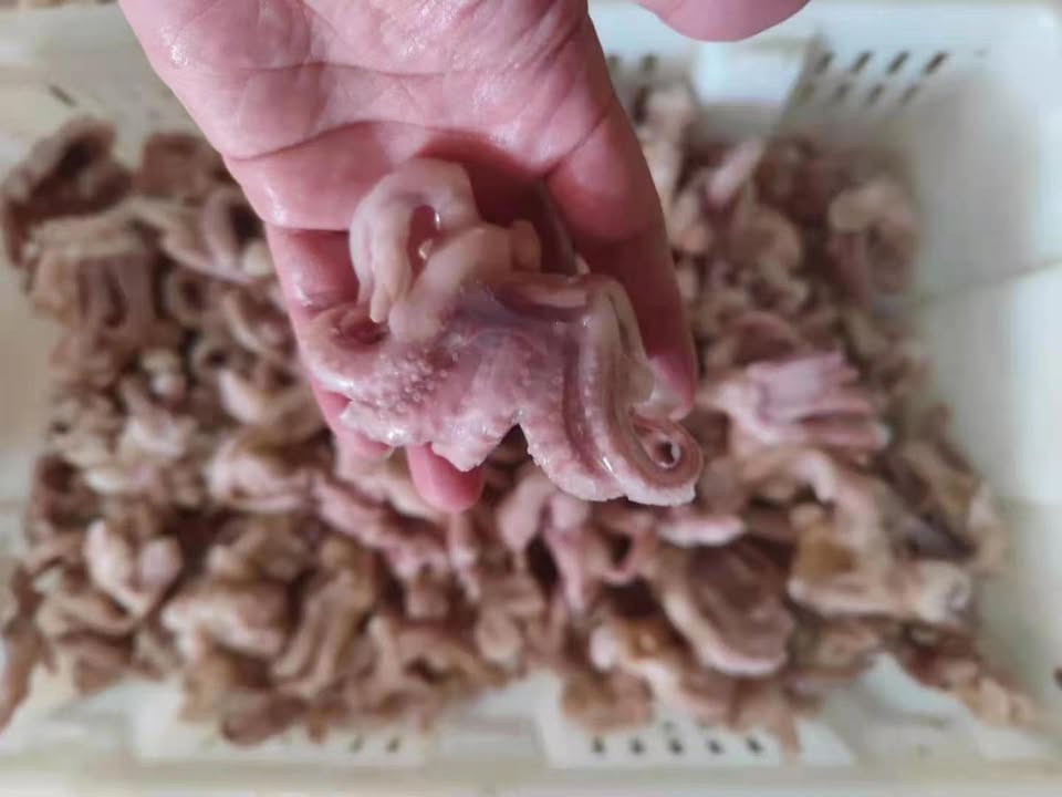 31750523917372388733265062927422450033548797n 31750523917372388733265062927422450033548797n