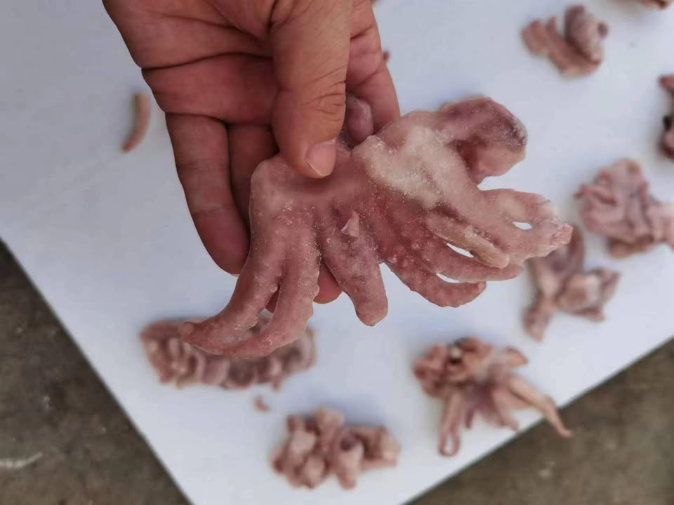 31772154517372390133264924776398354224513978n 31772154517372390133264924776398354224513978n