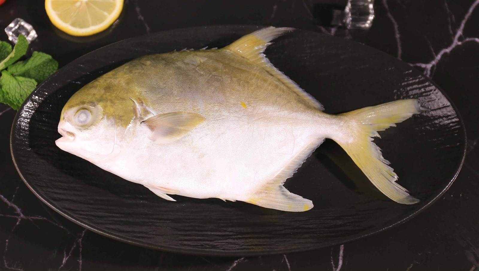 p7 p7